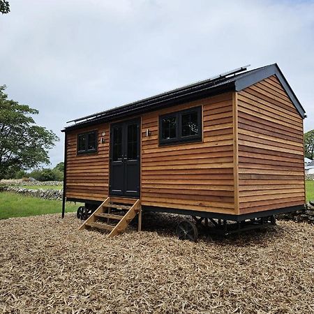 Woodland Shepherds Hut - 'Saga' Caernarfon Esterno foto