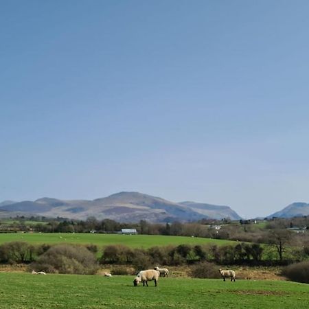 Woodland Shepherds Hut - 'Saga' Caernarfon Esterno foto