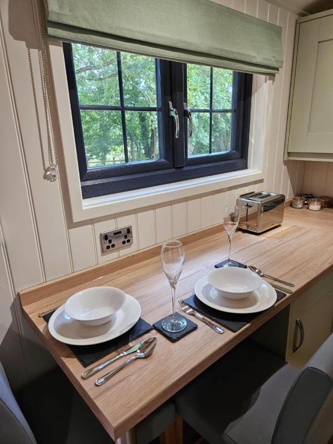 Woodland Shepherds Hut - 'Saga' Caernarfon Esterno foto