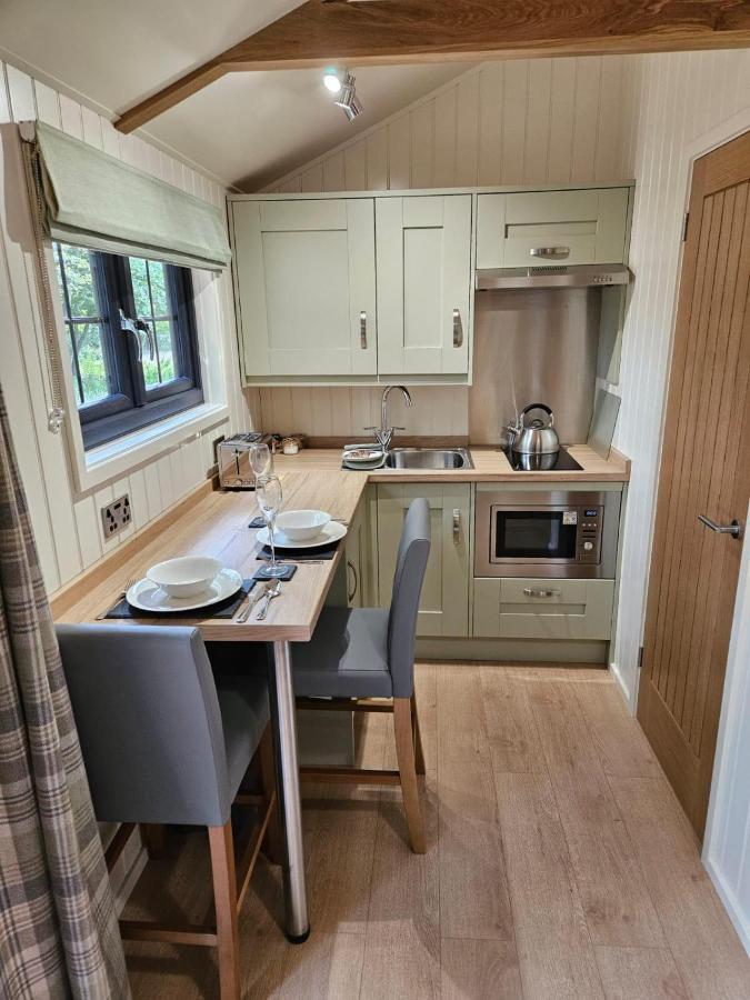 Woodland Shepherds Hut - 'Saga' Caernarfon Esterno foto
