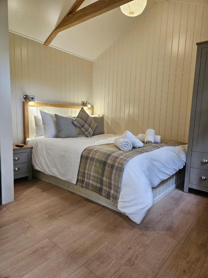 Woodland Shepherds Hut - 'Saga' Caernarfon Esterno foto