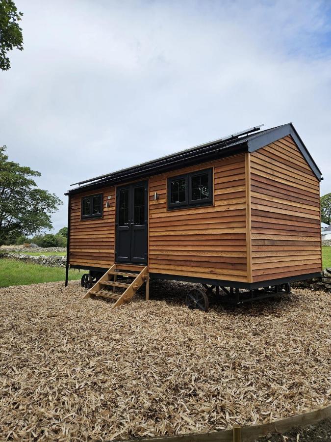 Woodland Shepherds Hut - 'Saga' Caernarfon Esterno foto