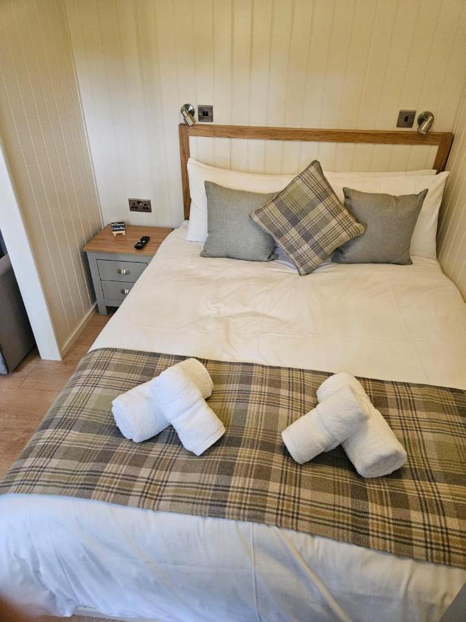 Woodland Shepherds Hut - 'Saga' Caernarfon Esterno foto