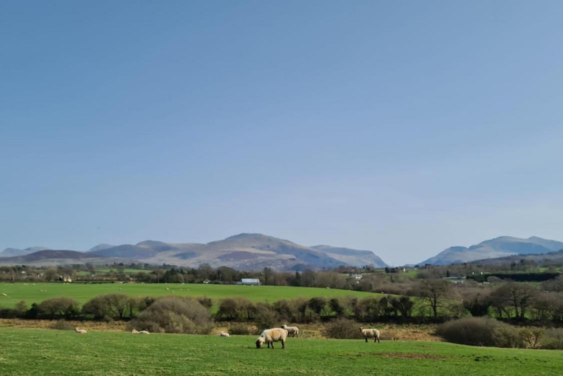 Woodland Shepherds Hut - 'Saga' Caernarfon Esterno foto