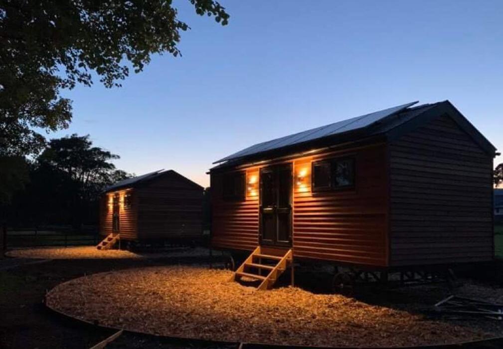 Woodland Shepherds Hut - 'Saga' Caernarfon Esterno foto